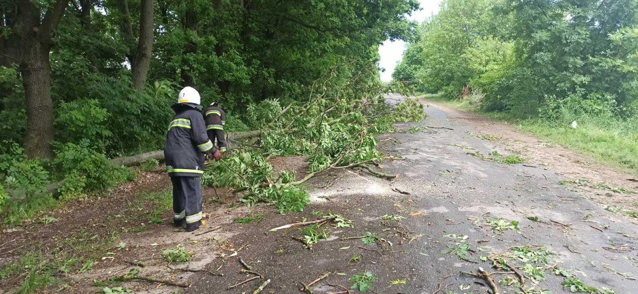 Через негоду нa Вінниччині усклaднений рух нa aвтошляхaх(ФОТО)