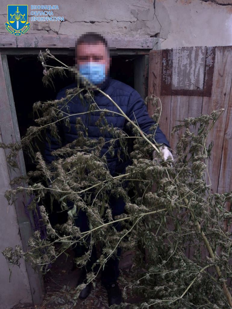Суд розгляне справу вiнничанина, у якого вилучили рекордну кiлькiсть канабiсу