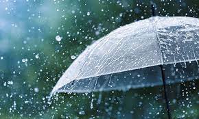 В Україні оголосили штормове попередження. Які регіони накриє негода?