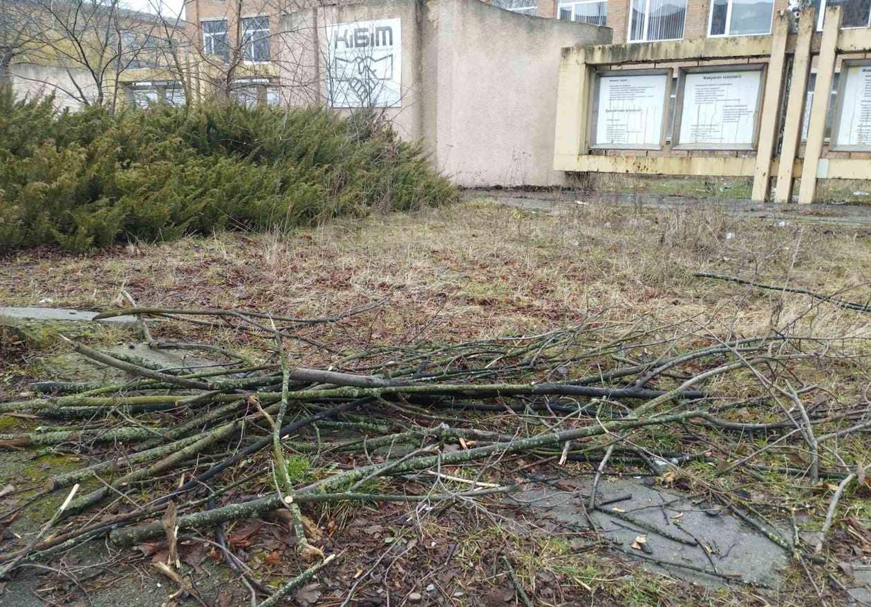 ​​​​​​​Чотири вантажівки сміття - «генеральне прибирання» за допомоги вінницьких муніципалів 