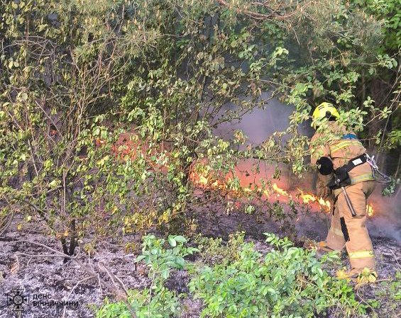 На Вінниччині горіли сміттєзвалища - катастрофу вдалось попередити