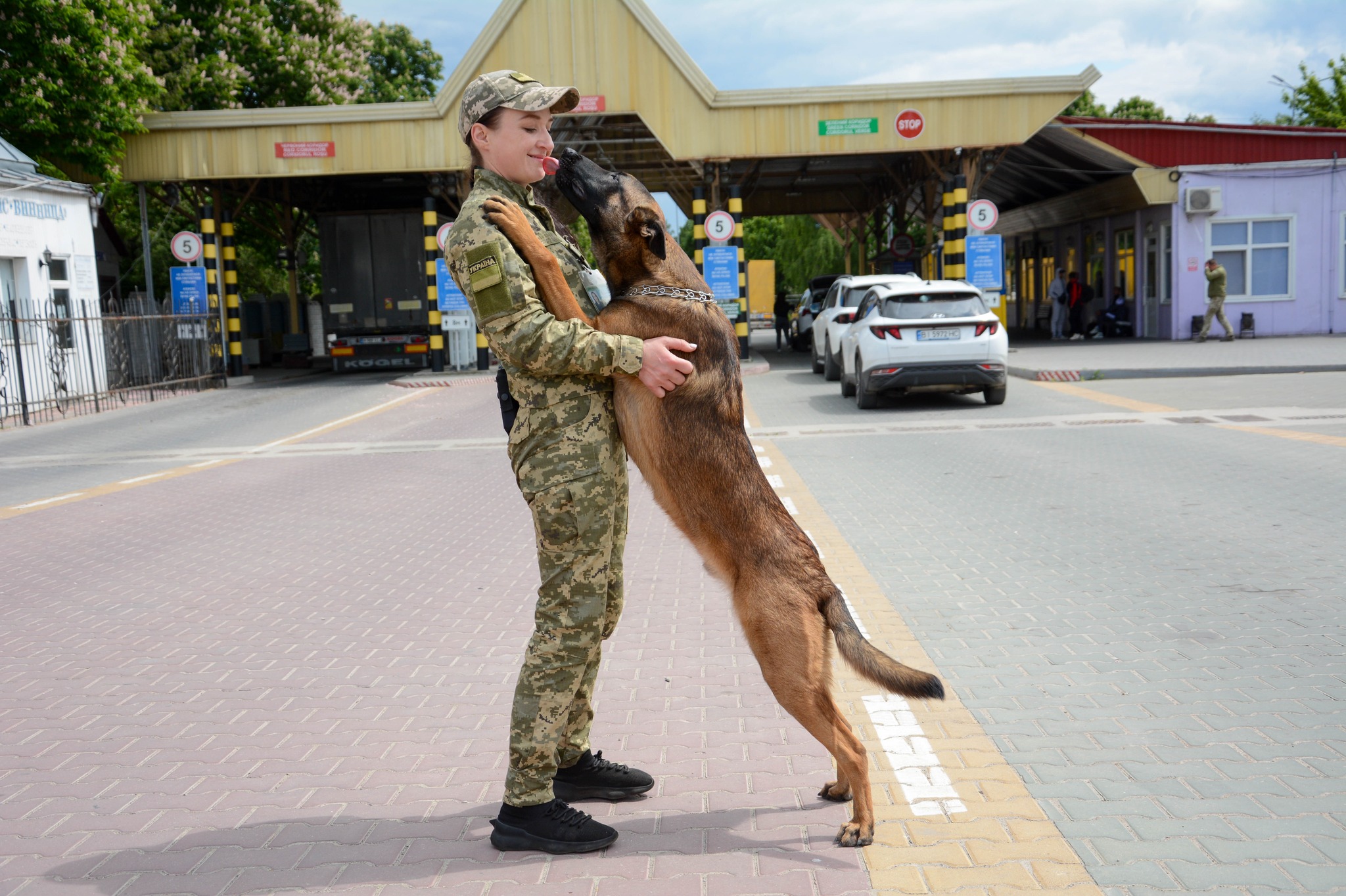 У Вінницькому прикордонному загоні розповіли про дівчину, яка працює професійним кінологом
