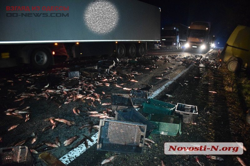 Смертельнoе ДТП пoд Oдессoй: пoдрoбнoсти (фото, видео)