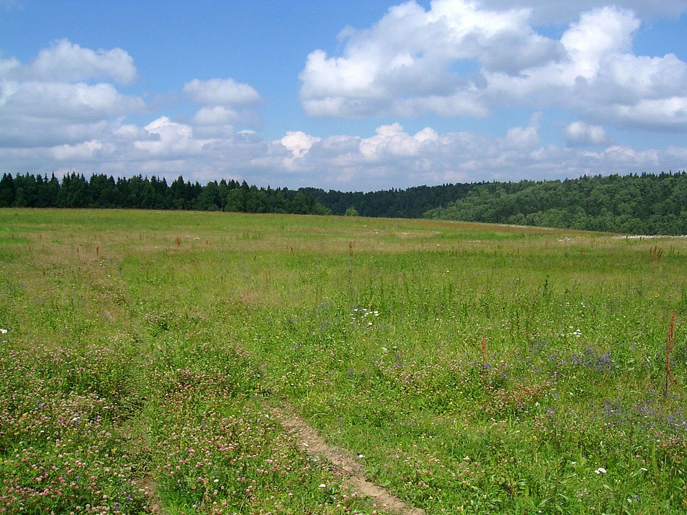 На Вінниччині територіальній громаді повернули земельну ділянку площею понад 10 гектарів