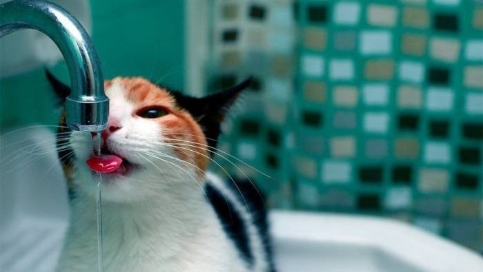 Жители Тaировa остались без воды на цeлыe сутки