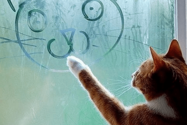 До України йде похолодання