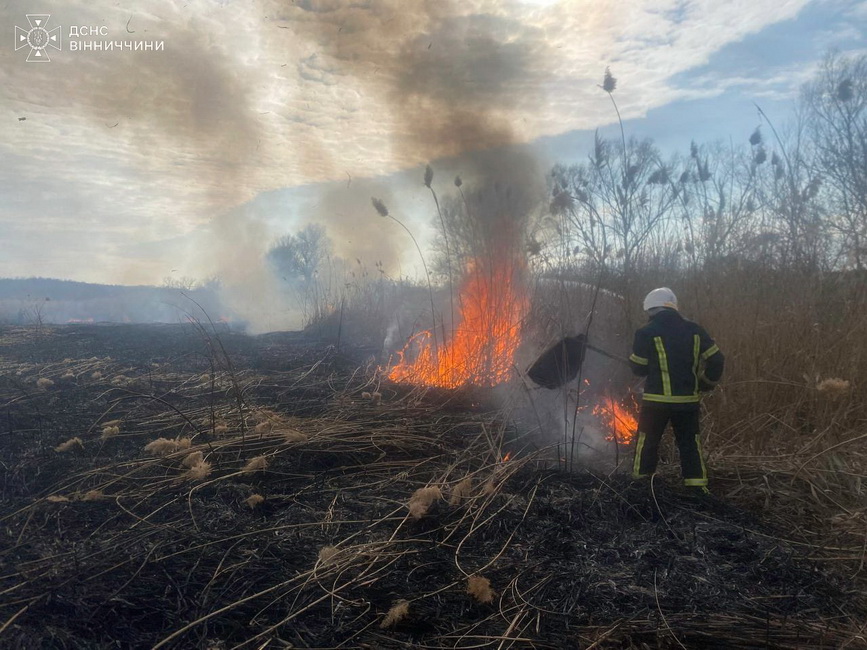 Рятувальники Вінниччини приборкували 12 пожеж у природних екосистемах: попередження щодо спалювання сміття