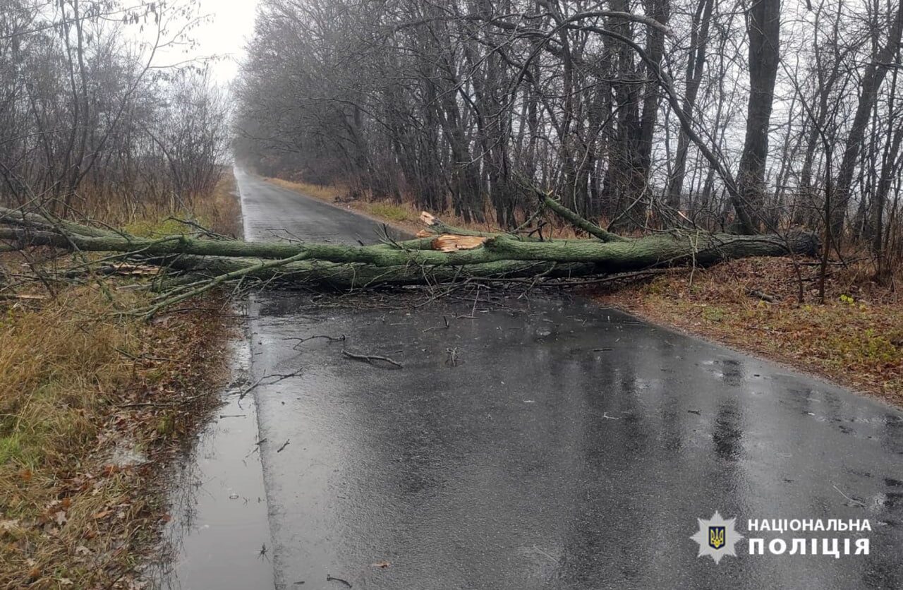 На об‘їзній Вінниці через падіння дерева було ускладнено рух