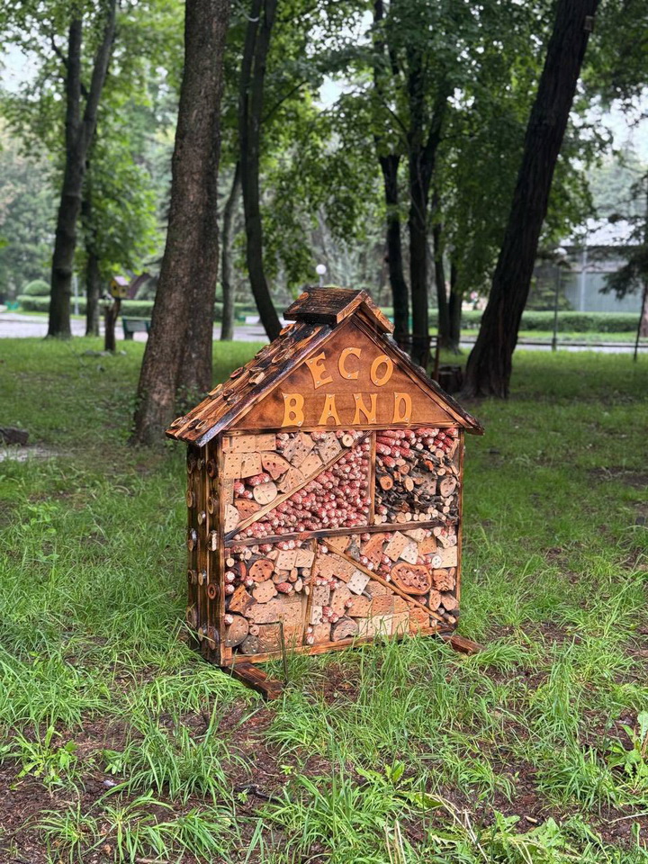  Готель для комах у серці Вінниці: як паркова ініціатива навчає містян турботі про природу