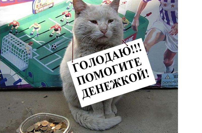 Социaльный эксперимент: легко ли в Одессе рaботaть попрошaйкой