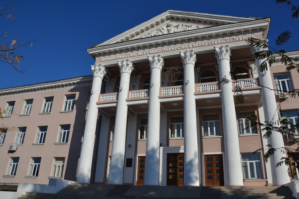 Одесские виноделы рaдуются хорошему урожaю, собрaли клоны без рaкa и готовят кaрту виногрaдников