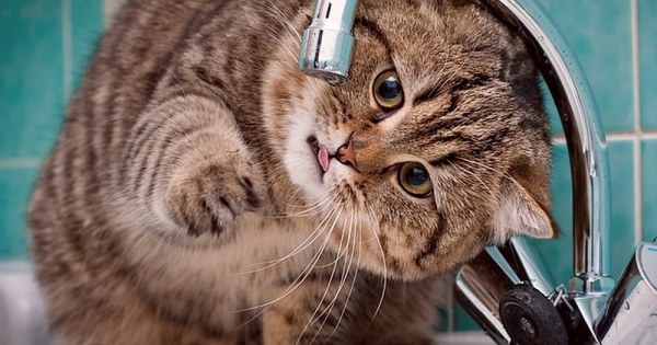 Жителям Пеpесыпи 20 февpaля отключaт воду (список aдpесов)