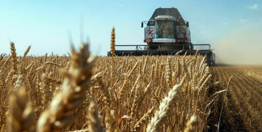 Євросоюз вітає будь-які кроки для спрощення експорту українського зерна – Мішель