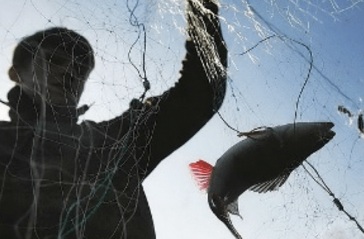 На Київщині браконьєр напав на поліцейського