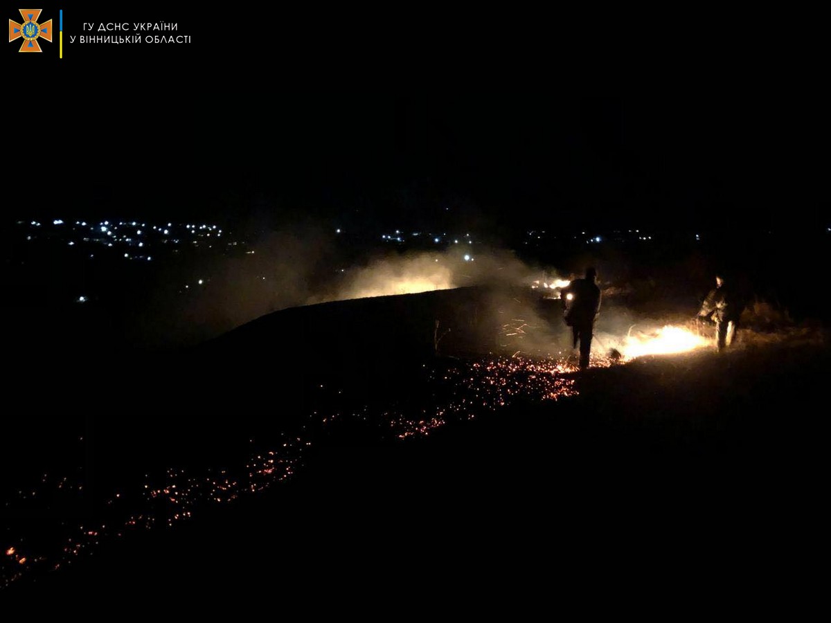 На Вінниччині ліквідували більше десятка випадків загоряння екосистемах області