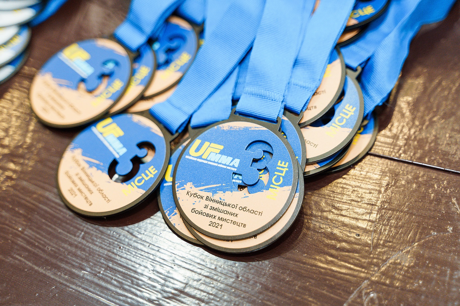 Вінничани виграли відкритий Кубок області зі змішаних бойових мистецтв