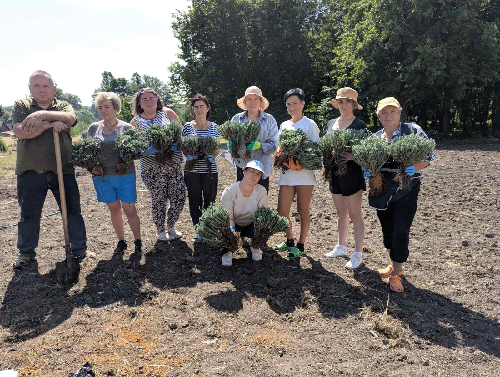 На Вінниччині створюють лавандовий простір для реабілітації ветеранів і відпочинку мешканців