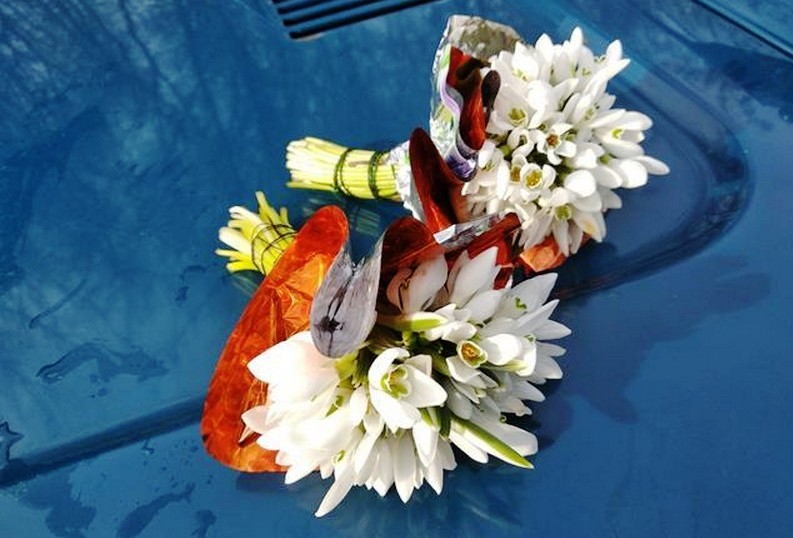 На Вінниччині штрафують за торгівлю червонокнижними первоцвітами