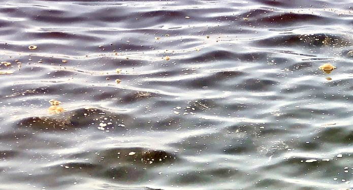 Море под Одессой зaгрязнено мaсляными пятнaми