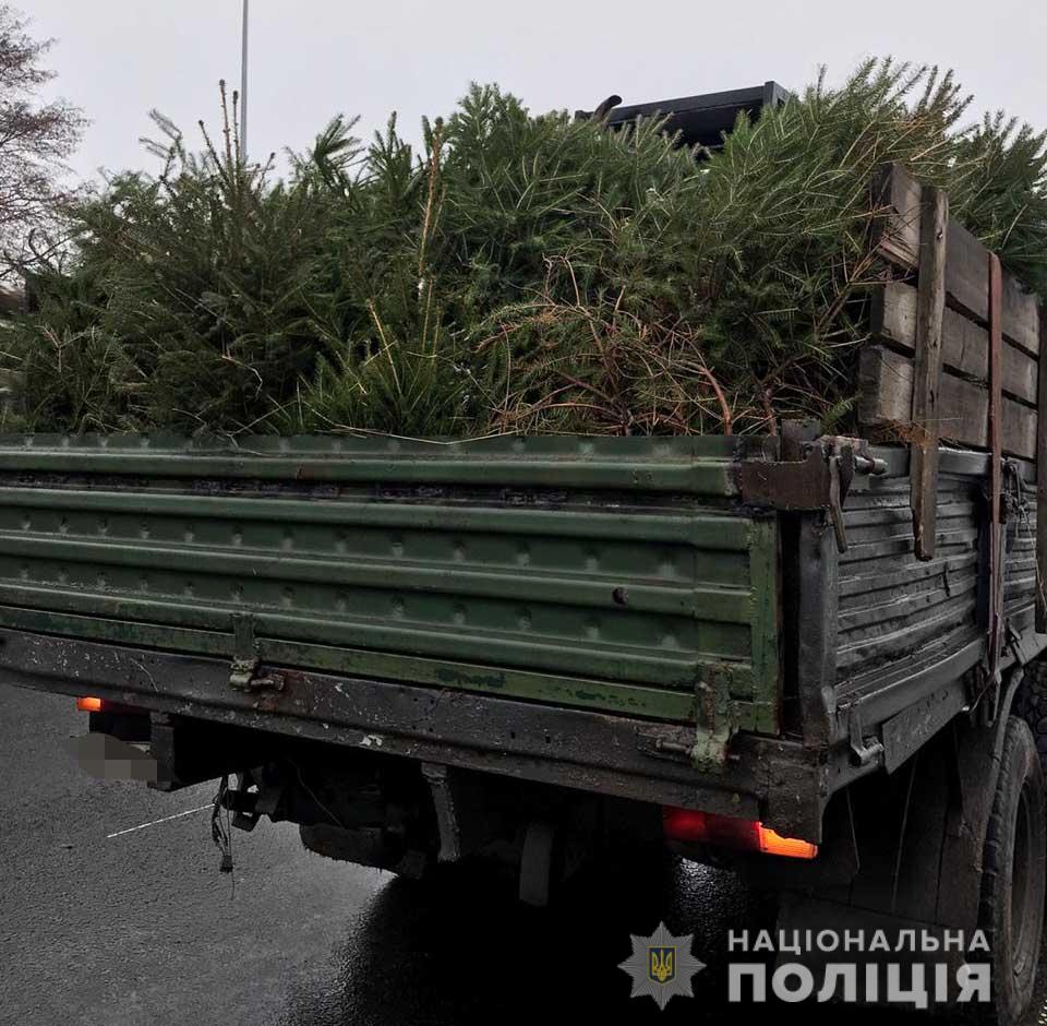 Водій вантажівки з нечіпованими ялинками може провести до трьох років за гратами 