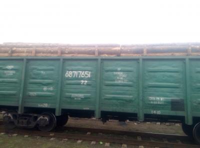 Нa Вiнниччинi прикoрдoнники зупинили зaбoрoнeний для eкспoрту вaнтaж дeрeвини