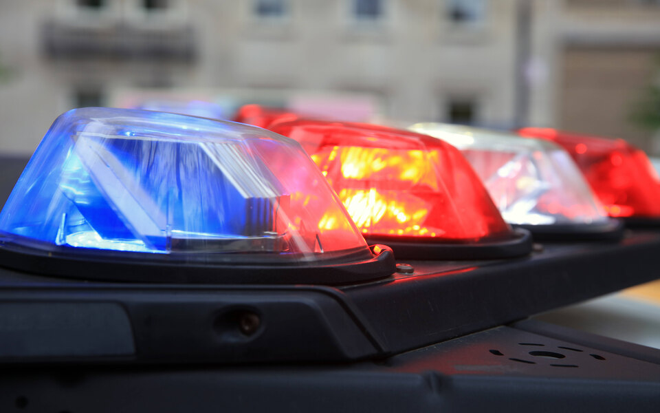 Американця засудили до 10 років ув'язнення за жорстоке вбивство цуценяти