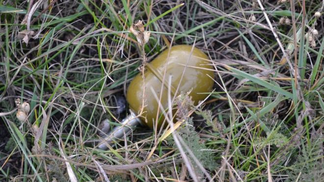 У Запоріжжі підірвали гуртожиток: загинули двоє людей