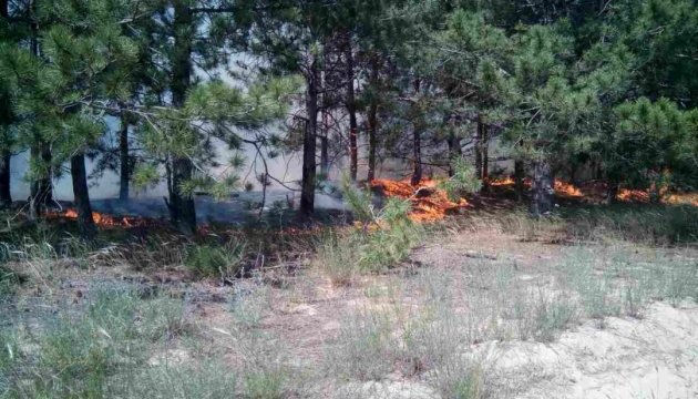 На Херсонщині досі гасять лісову пожежу