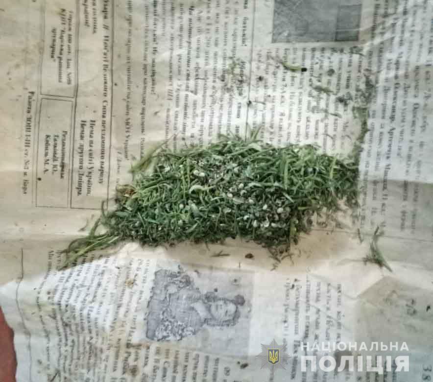 На Вінниччині чоловік вирощував та продавав наркотики