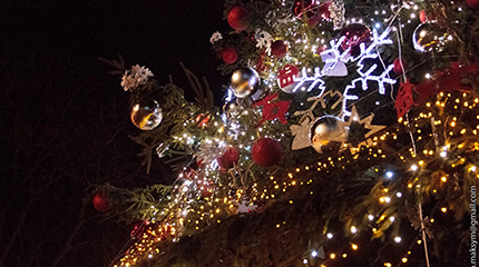 Як Вінниця святкуватиме перший тиждень Нового року