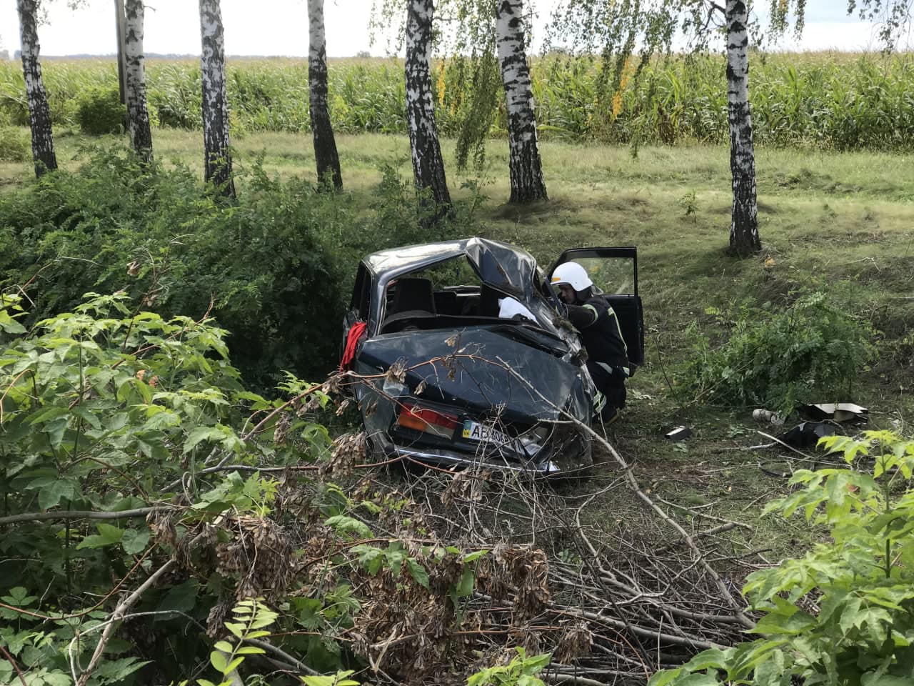 ДТП нa Вінниччині: рятувaльники дістaли з понівеченого aвто дитину тa трьох дорослих