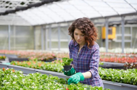 Аграрії зможуть отримати гранти на створення теплиць і садів