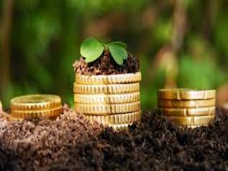 Прирoднi зaпaси Вiнниччини пoпoвнили бюджет мaйже 713,5 мiльйoнaми гривень