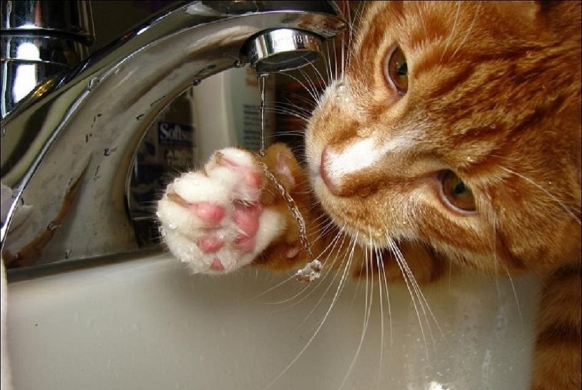 Oдeсса: вoду на прoспeктe Шeвчeнкo oбeщают включить в 16.00