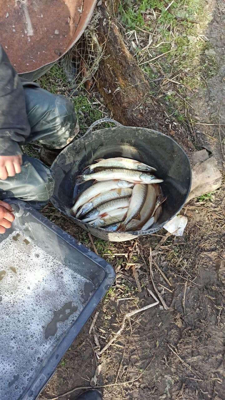  Вінницькі рибалки наловили 700 кг риби та завдали державі майже 13 млн грн збитків