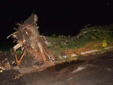 Через негоду в Україні було знеструмлено понад 745 населених пунктів