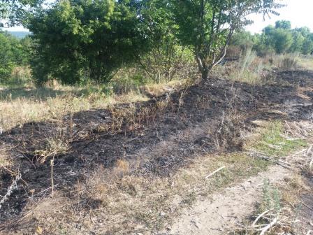 На Вінниччині горіла суха трава