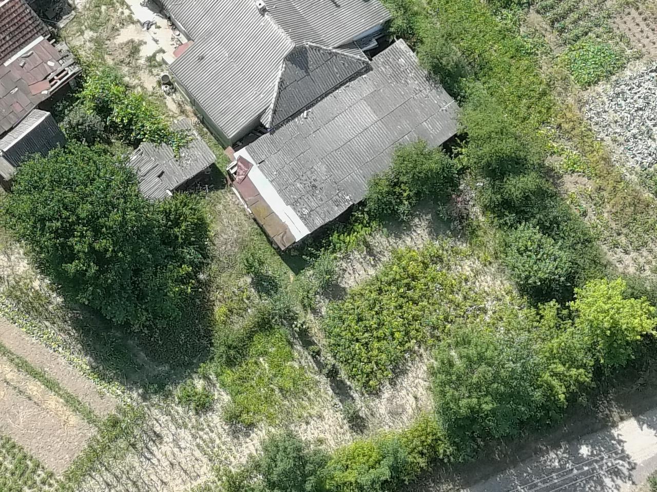 На Вінниччині прикордонники виявили насадження конопель