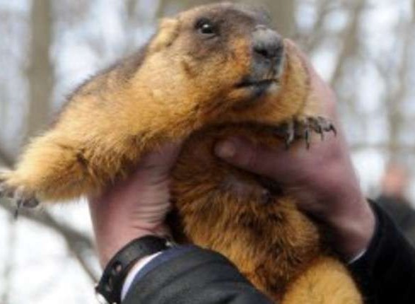 Бабак Тимко дав прогноз на весну