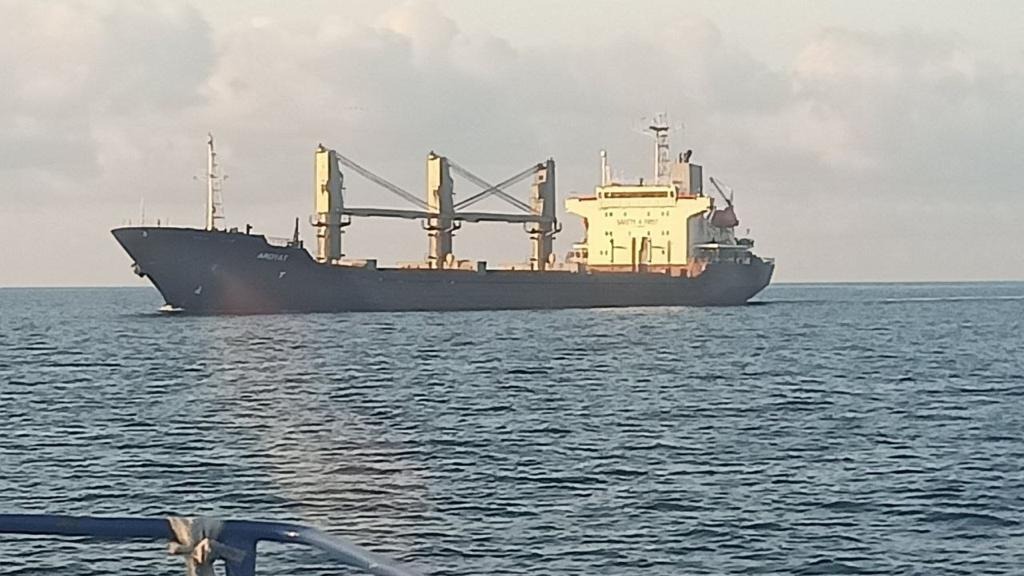 Вже друге судно з українським зерном прибуло у Туреччину тимчасовим коридором