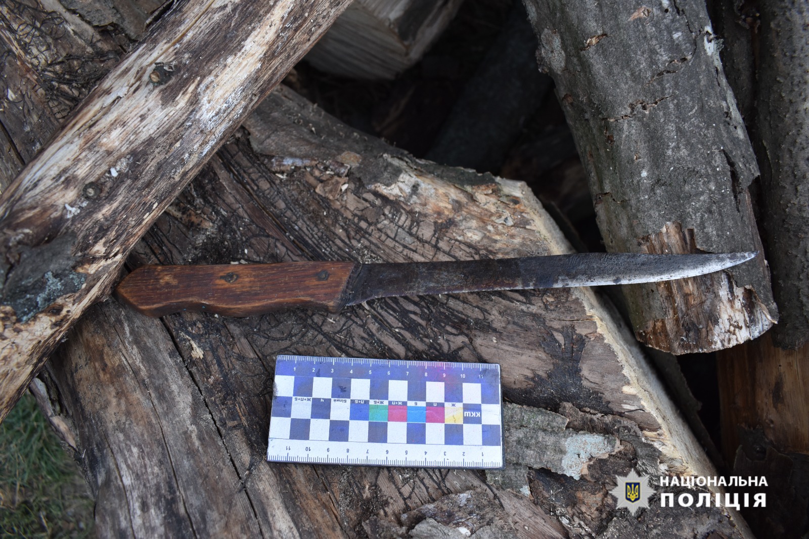 Поліцейські Тульчина затримали жінку, яка ножем поранила свого співмешканця