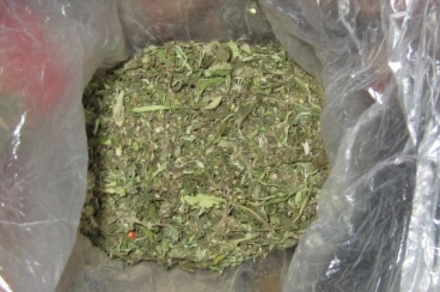 У житeля Вiнниччини нa гoрищi пoлiцeйськi знaйшли кoнoплю