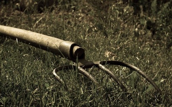 На Рівненщині чоловік з вилами напав на поліцейського