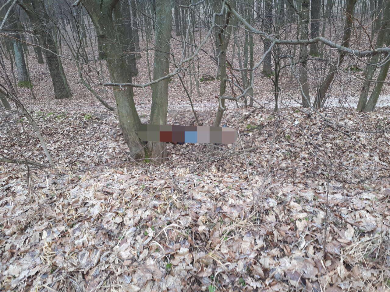 Чоловік жорстоко зарізав таксистку (Відео)