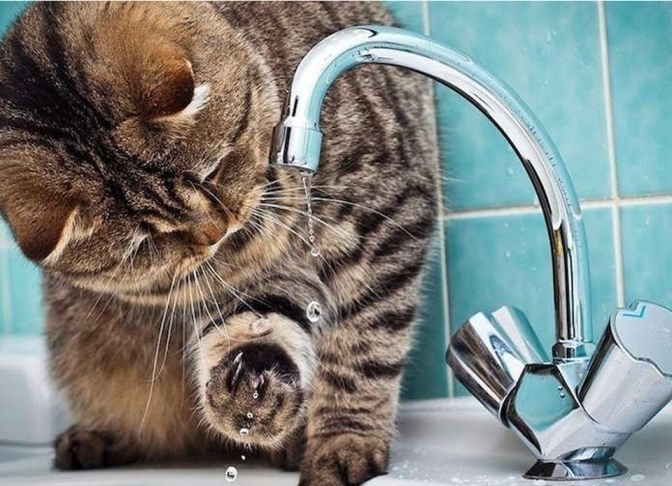 Вінниця – проводять ремонт інженерних мереж, мешканці залишаться без водопостачання (ПЕРЕЛІК АДРЕС)