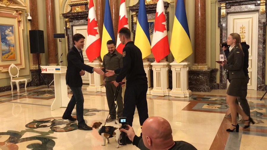 Пес Патрон отримав нагороду від Зеленського