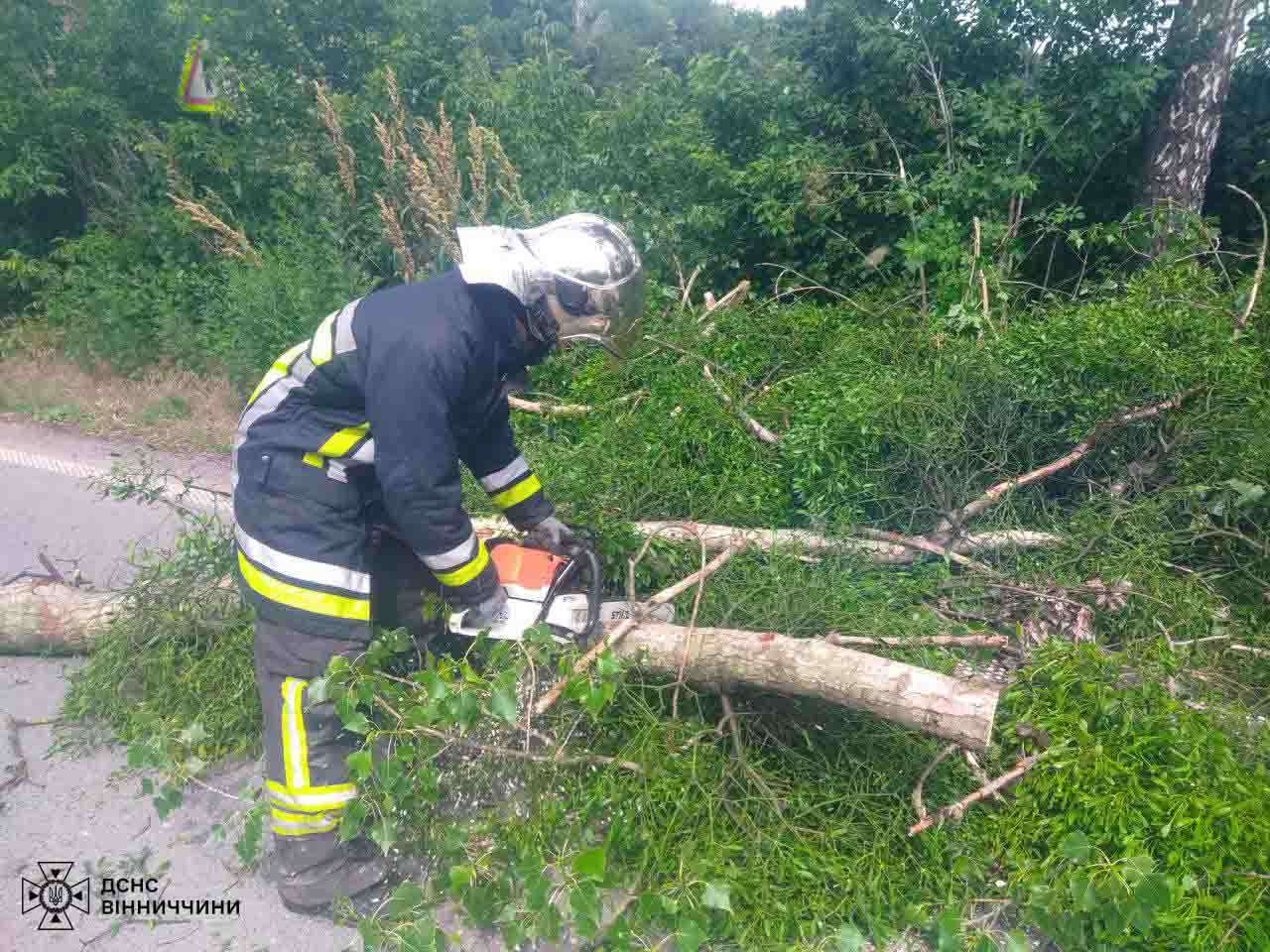 Бійці ДСНС «рятували» вінницькі дороги 