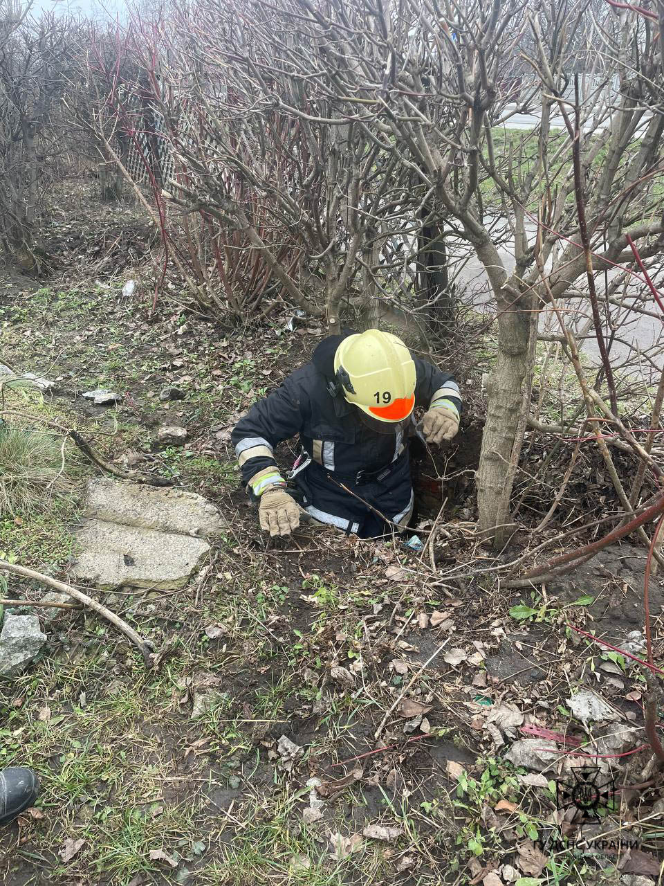 На Вінниччині врятували тварину, яка опинилась у пастці