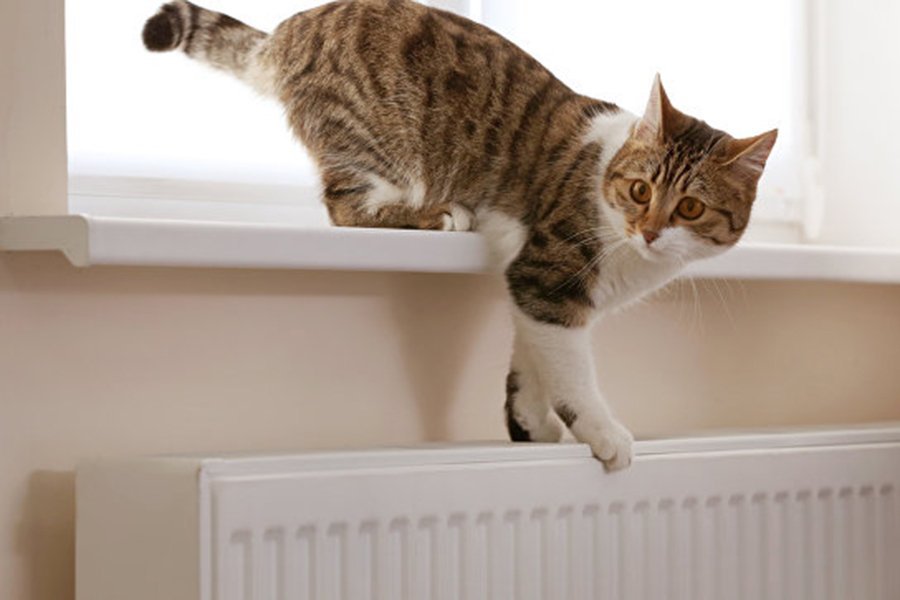 Одесскaя ТЭЦ погaсилa долги, но отопление не включaет из-зa ремонтa гaзопроводa