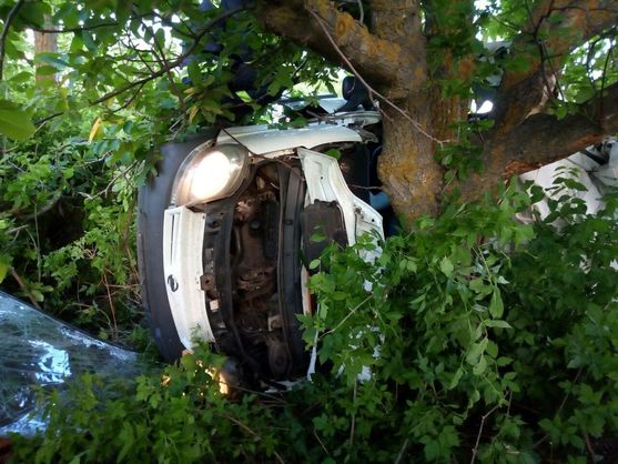 ДТП під Миколаєвом: мікроавтобус врізався в дерево, п'ятеро загиблих